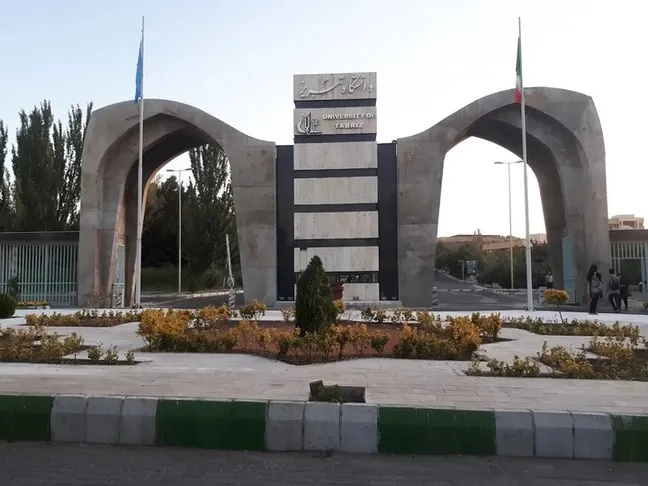 دانشگاه