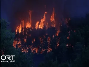آتشسوزی گسترده در واشنگتن؛ ۶۵ هزار نفر تخلیه شدند و ۷۰۰ خانه سوخت