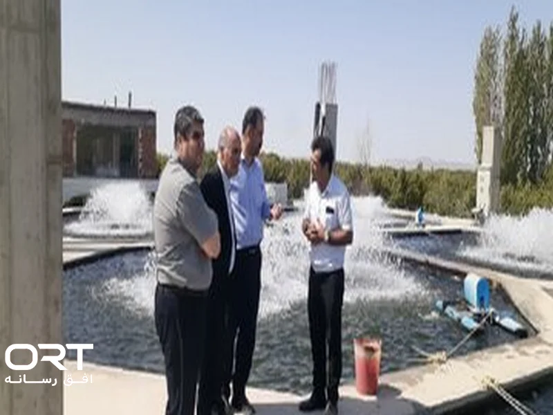 افزایش سرانه مصرف آبزیان در آذربایجان شرقی به ۸.۹ کیلوگرم؛ تولید ۱۱۵۰۰ تنی در ۶۵۰ واحد پرورش