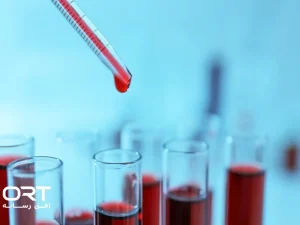 صادرات شینههای ژنراتور و خدمات فنی-مهندسی؛ گام جدید شرکت تعمیرات نیروگاهی ایران در بازارهای بینالمللی