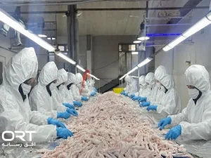 صادرات پای مرغ از آذربایجان شرقی به ویتنام و ترکیه